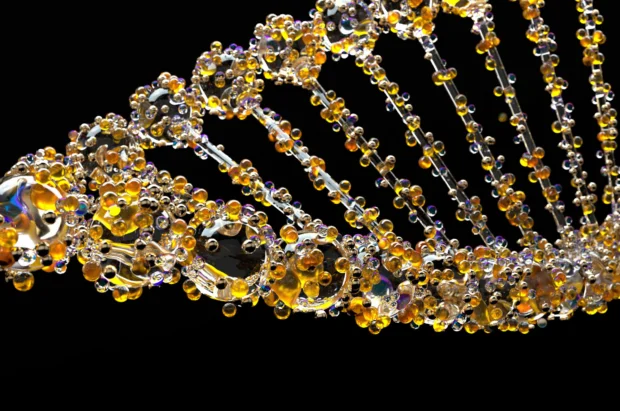 Ledarskapets DNA är ECO – NVO